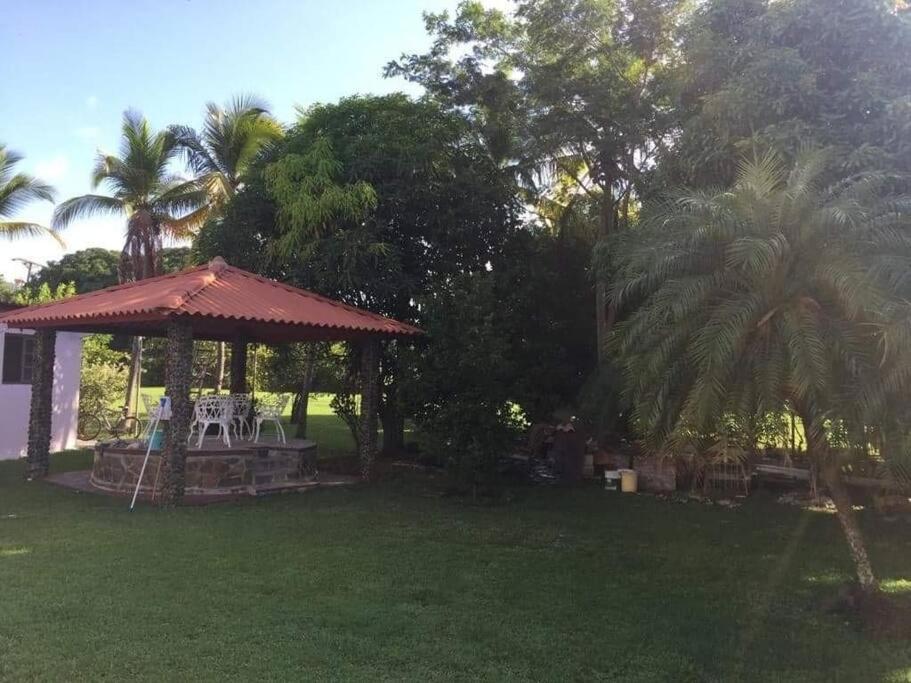 A Beachfront Very Near To Panama * Veracruz